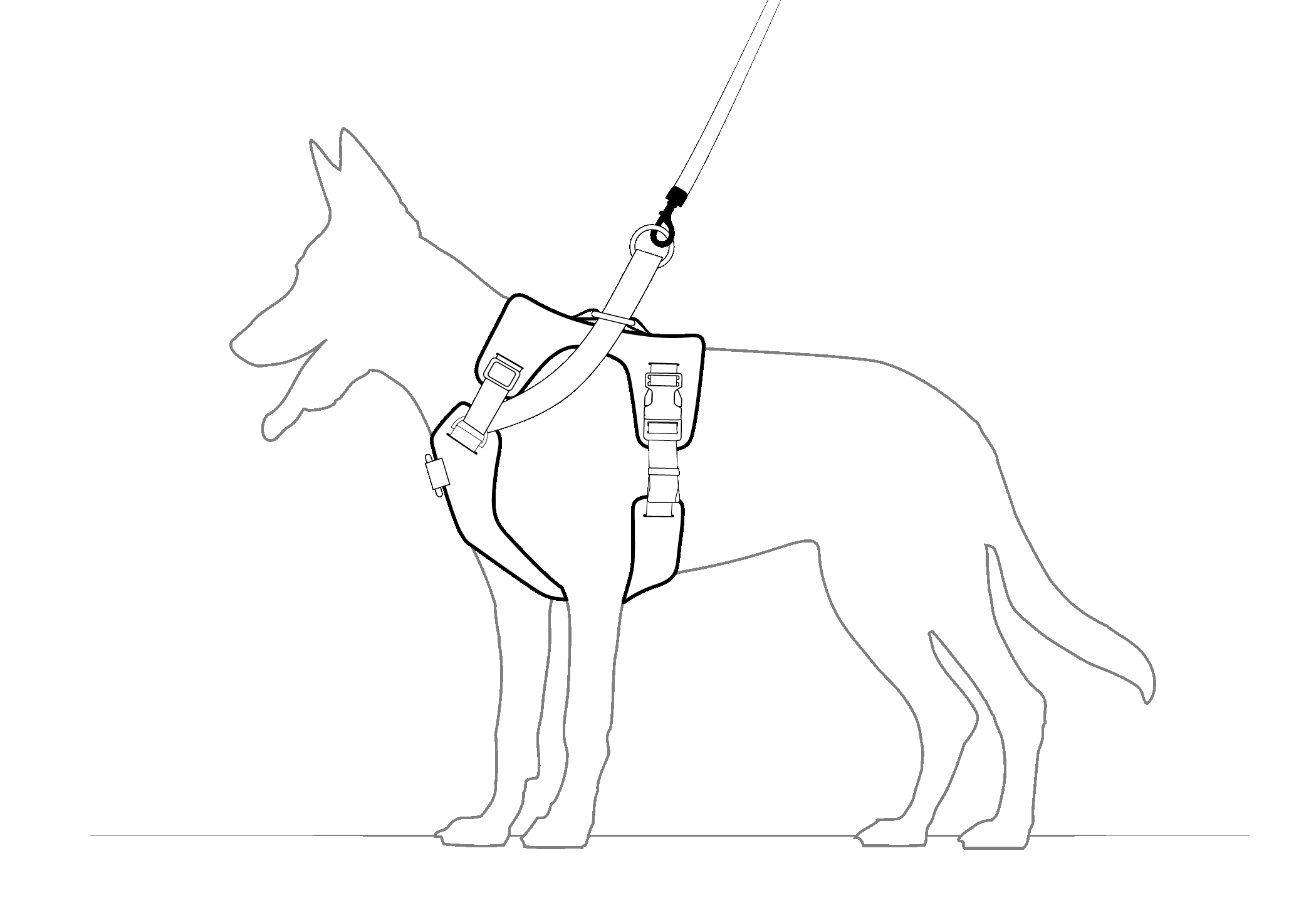 DUO 'ADAPT' No Slip Dog Harness