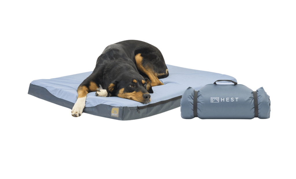 Pet Gear