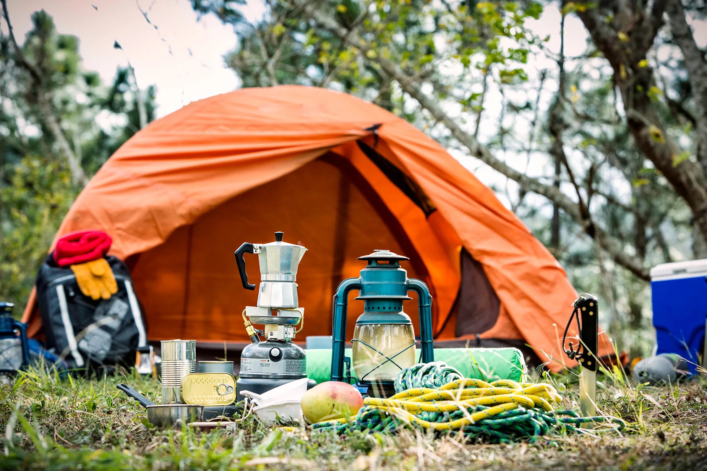 Tents & Shelter