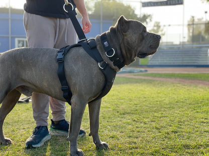 DUO 'ADAPT' No Slip Dog Harness