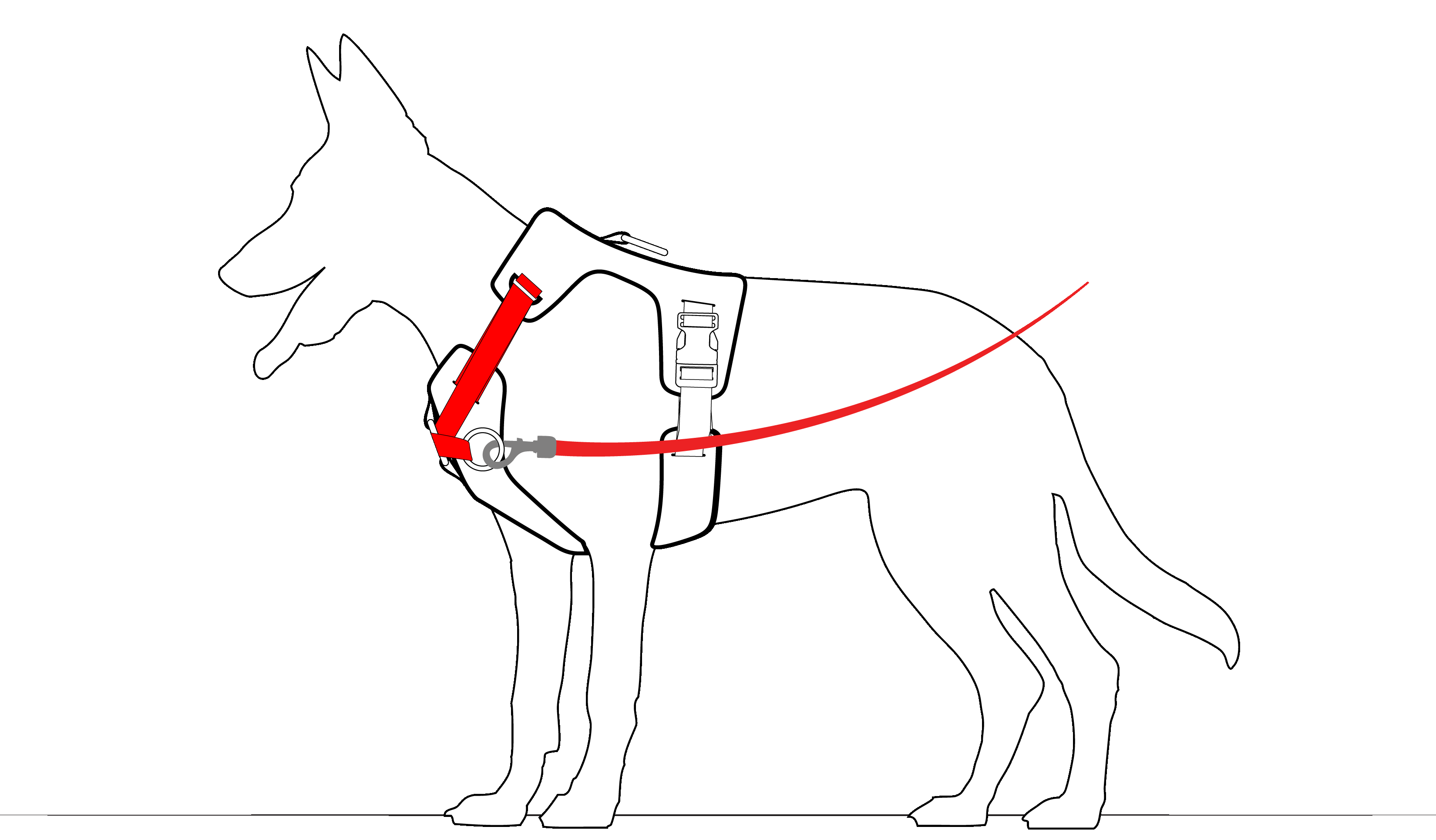 DUO 'DIRECT' No Pull Dog Harness